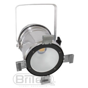 COB PAR56-100WW SILVER